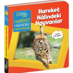 Hareket Halindeki Hayvanlar