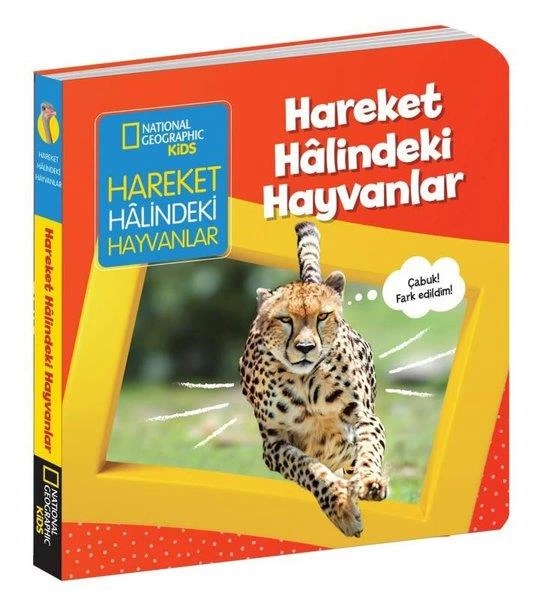 hareket-halindeki-hayvanlar-65015872-sw540sh600 Hareket Halindeki Hayvanlar - Görsel 1