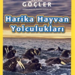 National Geographic Kids Harika Hayvan Yolculukları