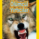 National Geographic Kids Ölümcül Yırtıcılar